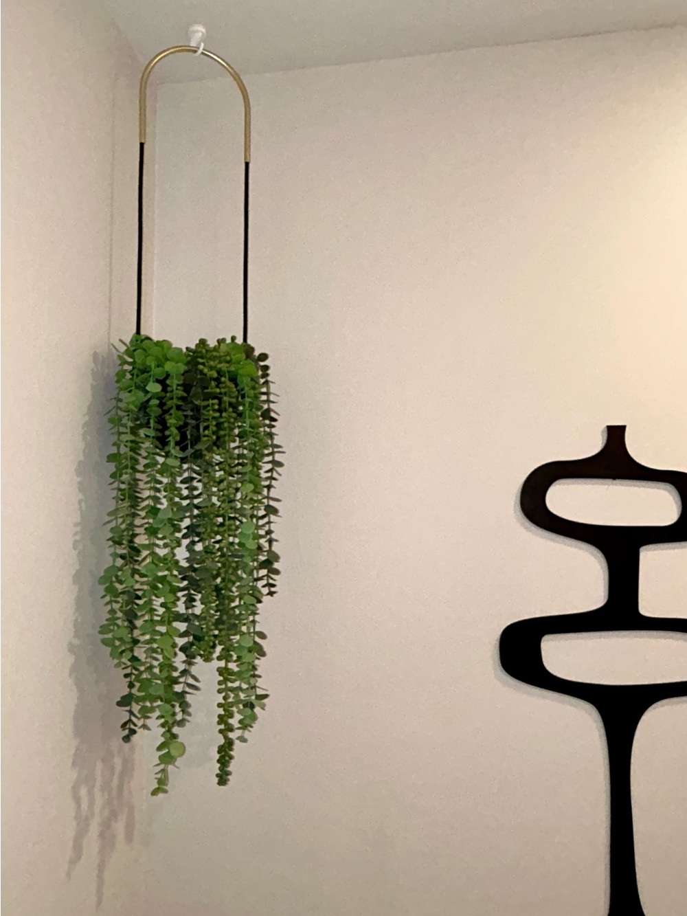 Umbra Planter - Bolo Single Hanging Planter — Black | NEW IN BOX - NWT - Picture 9 of 9